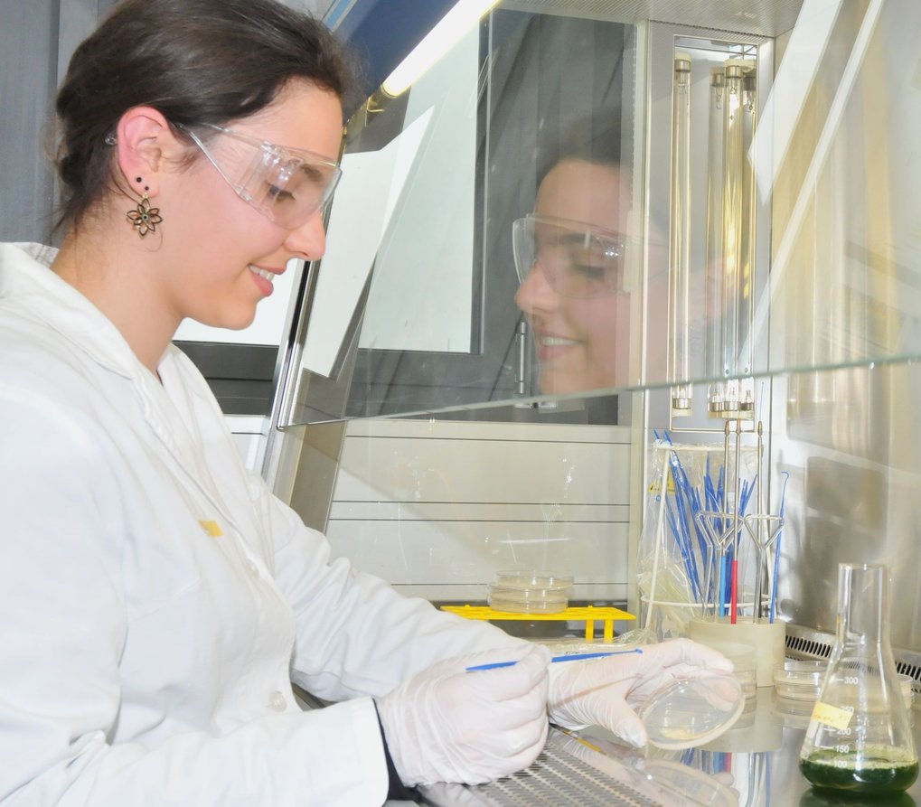 Max-Planck-Institut Magdeburg | Gabriele Ebel Eine Schülerin streicht in einem Labor des Max-Planck-Instituts Magdeburg Mikroalgen auf eine Petrischale
