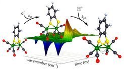 Zeitlich aufgelöste Laserspektroskopie an Zwischenzuständen der artifiziellen Photosynthese