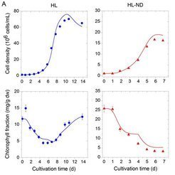 <p class="MPIBildunterschrift"><strong>Figure 2</strong>: Growth model of <em>Dunaliella salina</em>.</p>
<p class="MPIBildunterschrift">(a) Model simulation for high light (HL) and high light-nutrient depletion (HL-ND) scenarios compared to experimental data. Solid lines represent model simulations, points mark exp. data.</p>