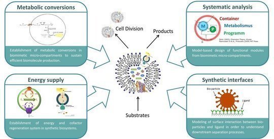 <strong>Figure 2:</strong> Research projects of MaxSynBio at the Process Systems Engineering group. From bottom right clockwise: Biomimetic surfaces and compartmens, energy supply in synthetic compartments, design of synthetic metabolic pathways and system integration of biomimetic modules.