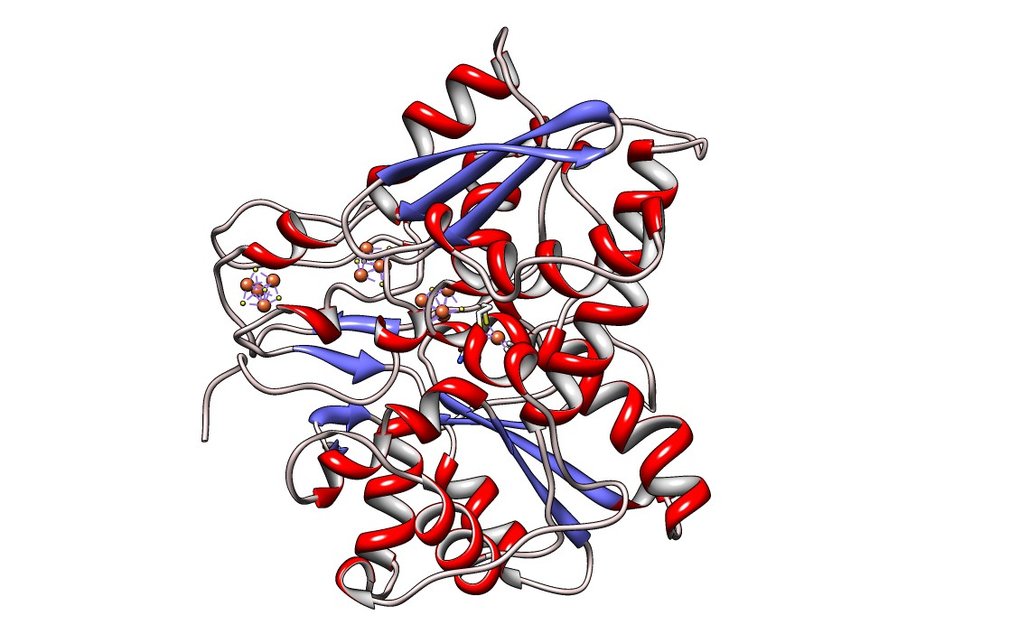 Die Grafik zeigt links das Protein, in der Mitte Details seines aktiven Zentrums und rechts die von Chemikern nachempfundene Verbindung als Molekül