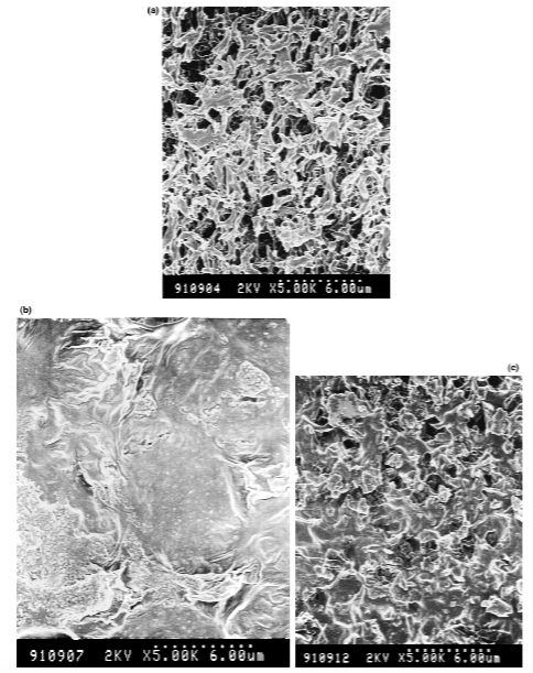 <em>Figure 1. Field Emission Scanning Electronic Microscope (FESEM) photographs showing (a) clean polyvinyl difluoride (PVDF) membrane, (b) PVDF membrane loaded with the silicone-based antifoam G832, and (c) PVDF membrane loaded with the polypropylene glycol antifoam PPG2000. Figure reproduced from Reference 2 with the written permission of John Wiley & Sons, Inc. License Number: 3677780362418.</em>