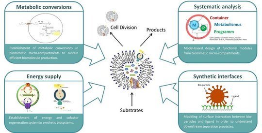 <strong>Figure 2:</strong> Research projects of MaxSynBio at the Process Systems Engineering group. From bottom right clockwise: Biomimetic surfaces and compartmens, energy supply in synthetic compartments, design of synthetic metabolic pathways and system integration of biomimetic modules.
