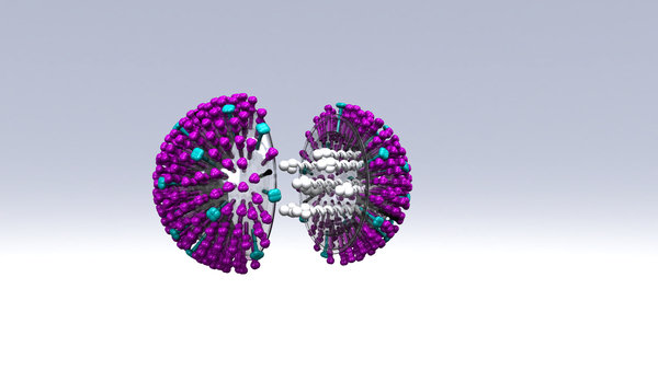 Viral Glycocalix in Dependence on Host Cell Line, Influenza Virus Strain and Production Process Parameters