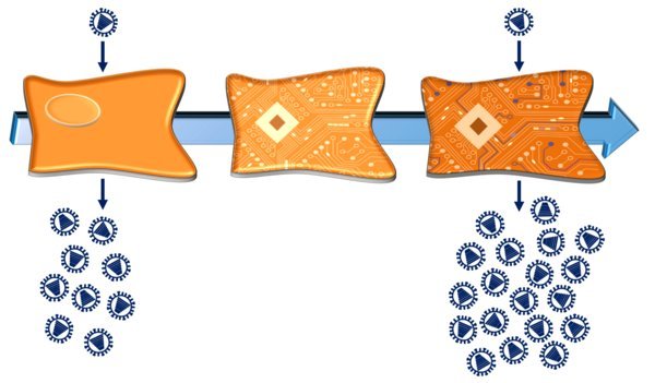 Modeling Influenza Virus-Host Cell Interactions to Support Cell Line Development