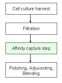 Fig 1. Target process schema for downstream processing of cell culture derived influenza virus vaccine production