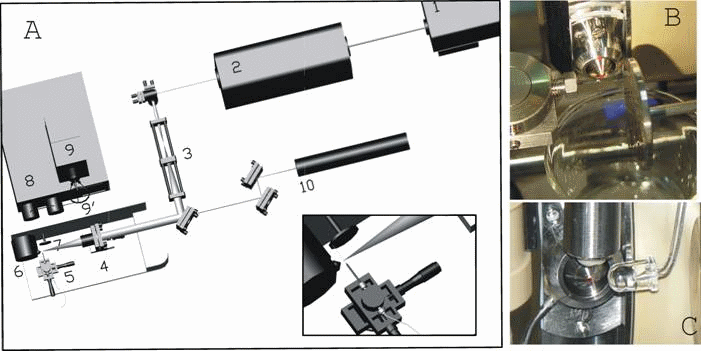 LC-MS Interfaces
