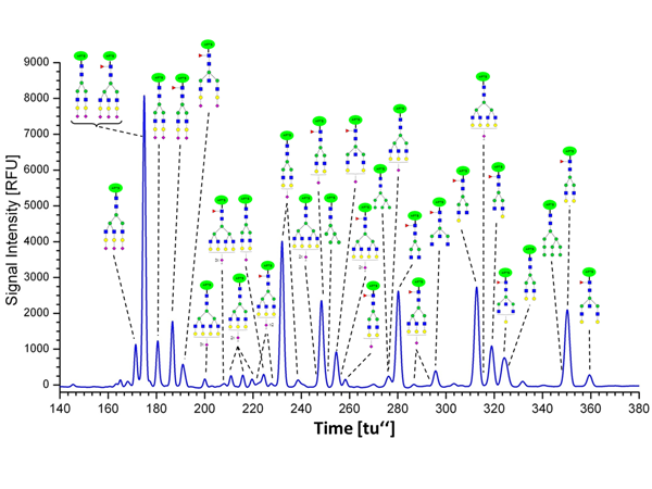 <p>Human Blood Plasma <em>N</em>-Glycomics</p>