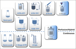 Fig.1 Overview on current perfusion and continuous process strategies evaluated in the USP team. STR: stirred tank bioreactor, OSB: orbital shaken bioreactor, ATF: alternating tangential flow filtration, TFF: tangential flow filtration, IS: inclined settler, AF: acoustic filter, PBBR: packed bed bioreactor, PFBR: plug flow bioreactor. The PBBR can be operated as a perfusion as well as a continuous process.