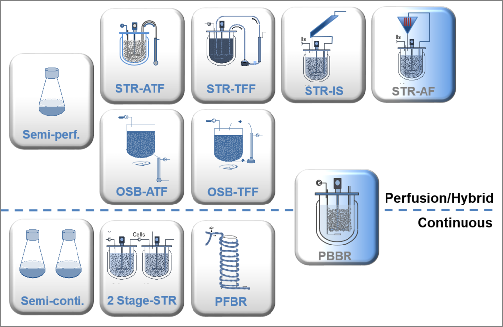 Fig.1 Overview on current perfusion and continuous process strategies evaluated in the USP team. STR: stirred tank bioreactor, OSB: orbital shaken bioreactor, ATF: alternating tangential flow filtration, TFF: tangential flow filtration, IS: inclined settler, AF: acoustic filter, PBBR: packed bed bioreactor, PFBR: plug flow bioreactor. The PBBR can be operated as a perfusion as well as a continuous process.