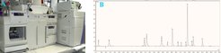 Figure 2: LC-MS system (Dionex, DX320) for analysis of intracellular metabolites (A) and detected metabolite peaks in the UV channel (B)