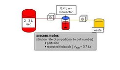 Figure 1.2: Experimental set-up