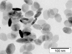 Nanopartikel nach Maß: Die sechseckigen, rund 36 Nanometer messenden Bariumsulfat-Partikel entstehen, wenn die Magdeburger Forscher zwei Mikroemulsionen mischen, die jeweils einen Ausgangsstoff enthalten - und zwar den einen 20 Mal höher konzentriert als den anderen.
