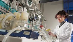 Laboringenieurin Jacqueline Kaufmann arbeitet in einem Labor im Max-Planck-Institut Magdeburg.