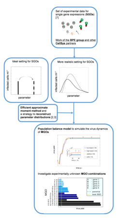 Figure 2: Workflow for the investigation of heterogeneities in MGOs.