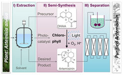Figure 6: Overall process concept for the continuous production of artemisinin