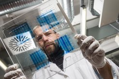 Dr. rer. nat. Dirk Benndorf, Mitarbeiter am Lehrstuhl Bioprozesstechnik an der Otto-von-Guericke-Universität Magdeburg, bei der Analyse der mikrobiellen Proteine. Vor der massenspektrometrischen Identifizierung werden die Proteine (blaue Banden im Gel) mittels Gelelektrophorese nach ihrer Größe getrennt.