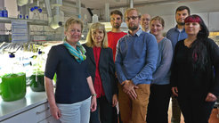 Am 13. Juni 2017 fand an der Hochschule Anhalt in Köthen das offizielle Auftakttreffen der Projektpartner des EMIBEX-Verbundes zur nachhaltigen Gewinnung von Biofarbstoffen und Proteinen aus Algenbiomasse statt: (v.l.): Dr. Urike Schmid-Staiger, Prof. Carola Griehl, Dipl.-Ing. Gordon Brinitzer, Dr. Robert J. Flassig, Prof. Kai Sundmacher, Dr.-Ing. Katja Patzsch, M.Sc. Christian Kleinert, Dr. Stephanie Hielscher-Michael.