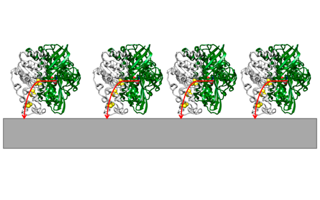 Biohydrogen