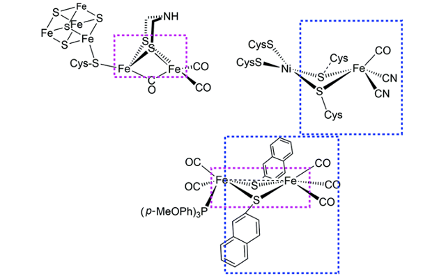 Bioinspired Catalyst Design