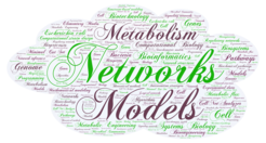 Word Cloud