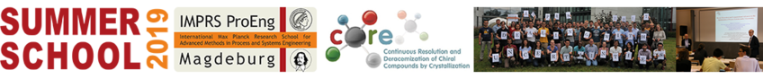 “Particulate Systems: From Theory to Application” “Particulate Systems: From Theory to Application”