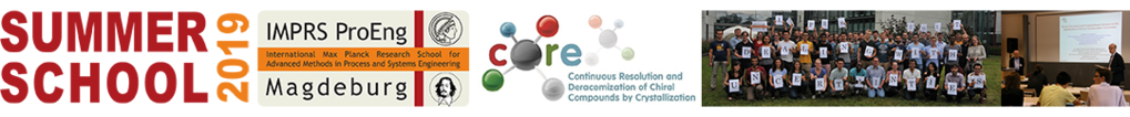 “Particulate Systems: From Theory to Application” “Particulate Systems: From Theory to Application”