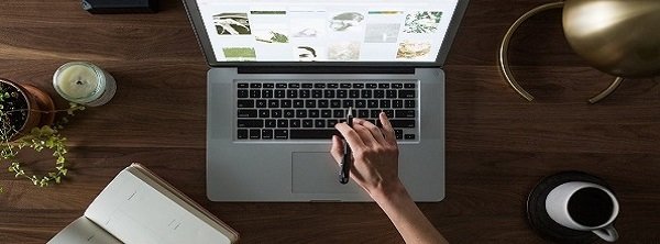 Terms & Conditions Terms & Conditions