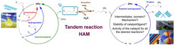 Figure 1: Scheme for the coupling of hydroformylation and reductive amination from renewable feedstocks to the desired products.