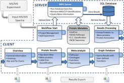 Metaproteomics analysis software workflow.