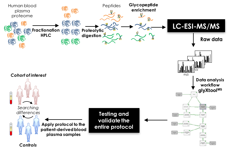 Figure 1: N-Glycoproteomic workflow for the discovery of disease-associated N-glycosylation alterations in human blood plasma glycoproteins.