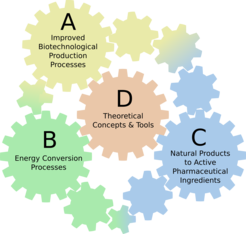Research focus of the IMPRS ProEng