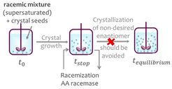 Figure 10: Schematic illustration of coupled preferential batch crystallization and enzymatic racemization.