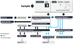 Figure 1: Repertoire of Glycoanalytical Techniques.