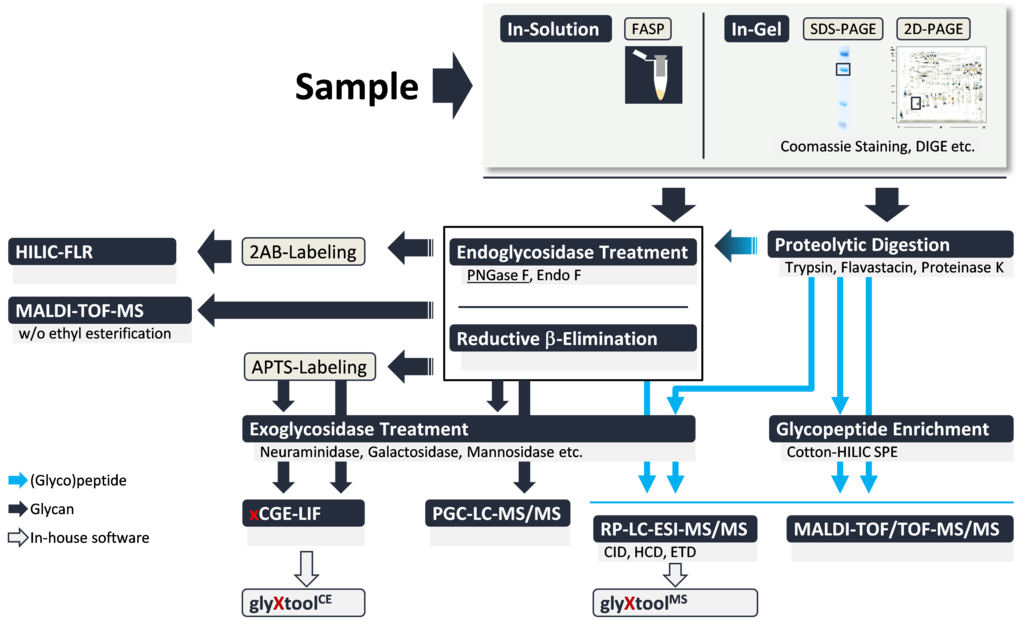 Figure 1: Repertoire of Glycoanalytical Techniques.
