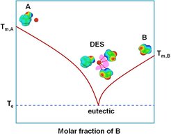 Typisches Phasendiagramm eines stark eutektischen Lösungsmittels (Deep Eutectic Solvent DES), das durch die Mischung zweier Komponenten A (Empfänger der Wasserstoffbrückenbindung) und B (Geber der Wasserstoffbrückenbindung) gebildet wurde.
