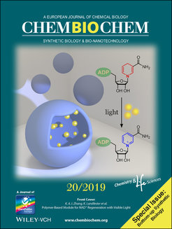 ChemBioChem - Special Issue on Bottom-up Synthetic Biology