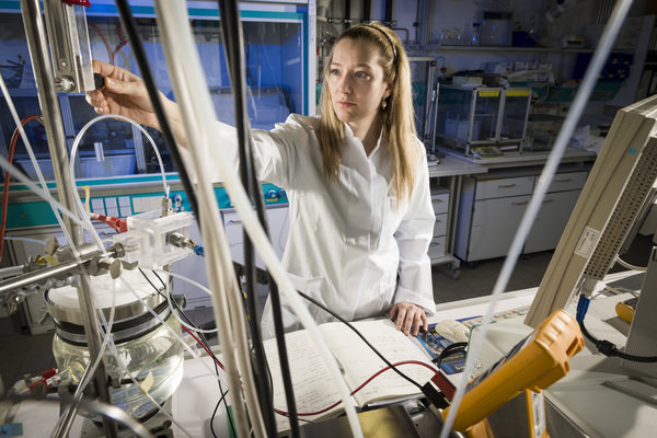 Elektrochemische Energieumwandlung Elektrochemische Energieumwandlung