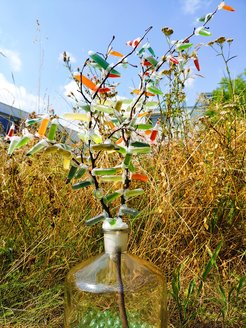 Laura König-Mattern, Forschungsgruppe Prozesstechnik am Max-Planck-Institut Magdeburg, hat ihr Forschungsthema zu Algenbioraffinerien aus Natur- und Labormaterialien sowie verschiedenen Algenextrakten kreativ dargestellt und dafür einen der Preise des Bioöokonomie-Camp 2021 gewonnen.