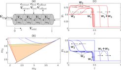 Fig. 1: Analysis of chromatographic processes. Left: a) Scheme of a true moving bed (TMB) process. b) Total separation regions obtained for an ion exchange TMB process using implicit mass action laws (solid lines) compared to explicit Langmuir isotherms (dashed lines) c) Wave reflection in a countercurrent separation process where the components feature different mass transfer coefficients.