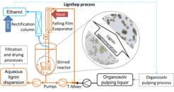 Figure 3: Schematic flow diagram of the LigniSep process with controlled lignin particle agglomeration.