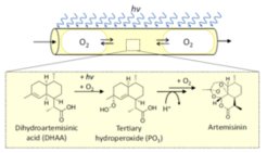 Figure 7: Photocatalytic oxidation of DHHA to artemisinin.