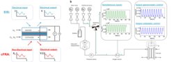 Fig. 1: left - Schematic of EIS and cFRA experiments; right - Simplified scheme of the experimental setup designed to perform cFRA experiments