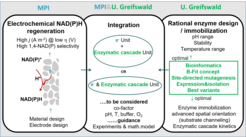 Scheme 1: An overall approach for development of an efficient bioelectrochemical process showing integration of electrochemical NAD(P)H regeneration and biocatalysis.