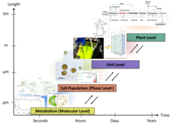 Fig 1: Multi-scale representation of an algal-based production system. The different length and time scales can be associated to the molecular, phase, process unit and plant level.