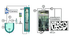 Fig. 1: Left: The flow-tube crystallizer setup (1) with temperature-control and an image acquisition device to measure crystal size and shape dynamically during the process. Right: The fluidized-bed crystallizer setup (2) with flow-and-temperature control and an image acquisition device.
