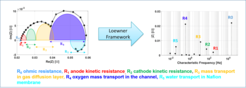 Fig. 1: left – EIS spectra of PEMFC; right - Distribution of characteristic frequencies.