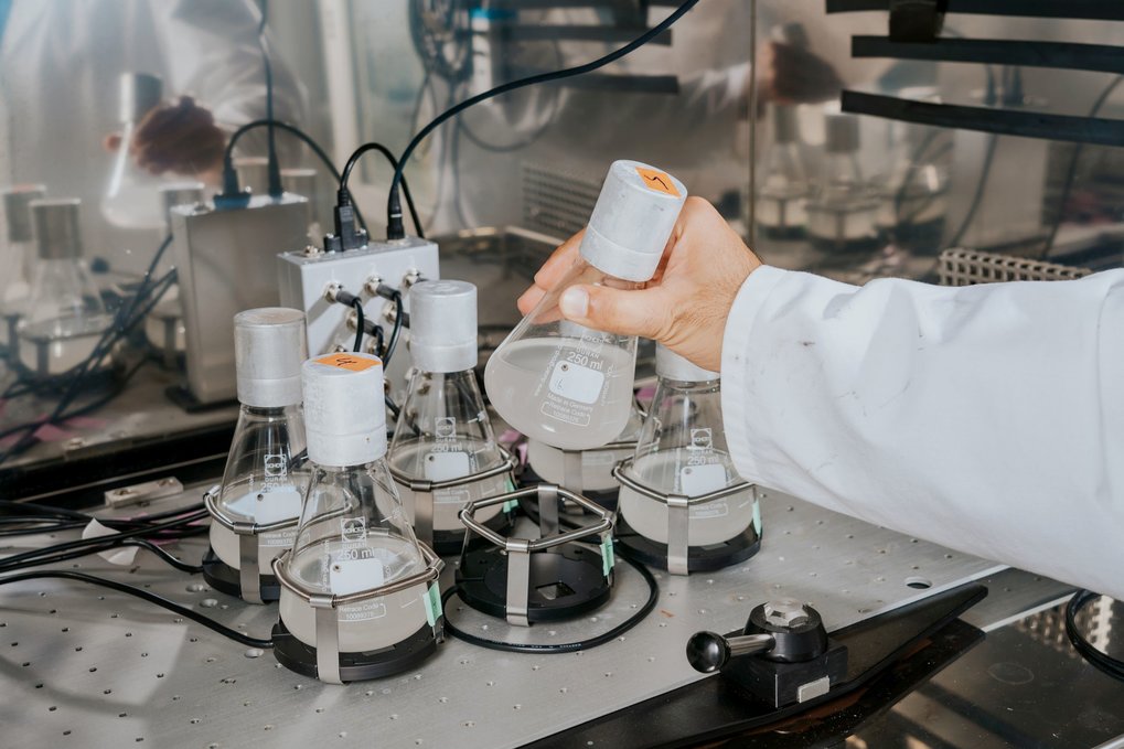 Zelluläre Fabriken: Mikroorganismen besser verstehen und passgenau optimieren