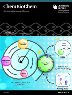 © Chemistry Europe / Wiley VCH
