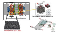 This figure shows a schematic view of the anode PEM water electrolysis with a visualization of the gas-liquid distributions inside PTLs using LBM and a visualization of a microfluid electrochemical cell on the right bottom side.